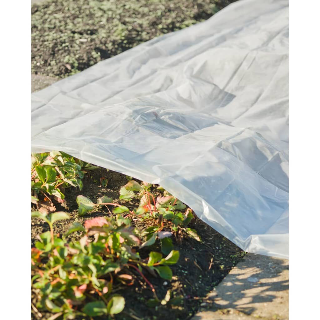 Plant Cover 4x6 m 200µ Transparent