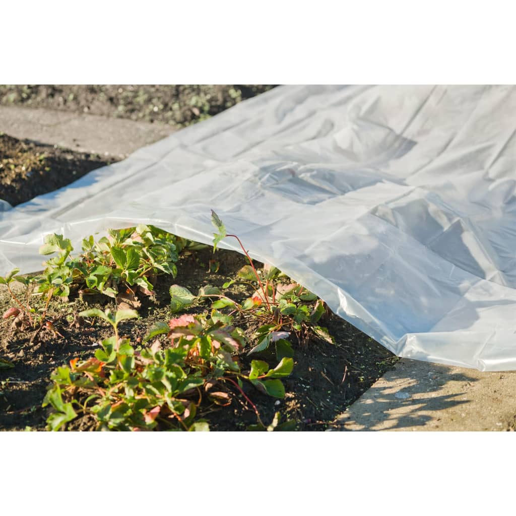 Plant Cover 4x6 m 200µ Transparent